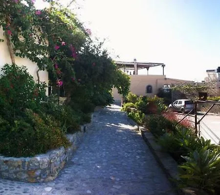 Tsapakis